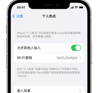 松北apple服务站点分享iPhone上个人热点丢失了怎么办 