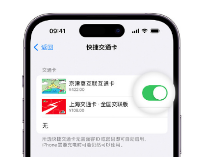 松北apple维修点分享iPhone上更换Apple Pay快捷交通卡手绘卡面 