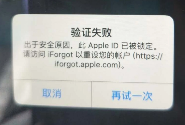 松北iPhone维修分享iPhone上正常登录或使用AppleID怎么办 