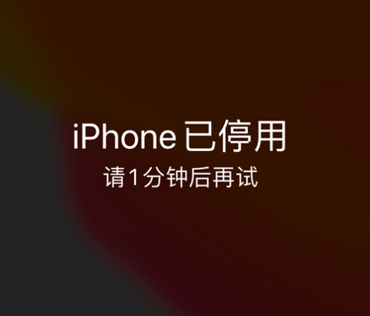 松北苹果手机维修分享:iPhone 显示“不可用”或“已停用”怎么办？还能保留数据吗？ 