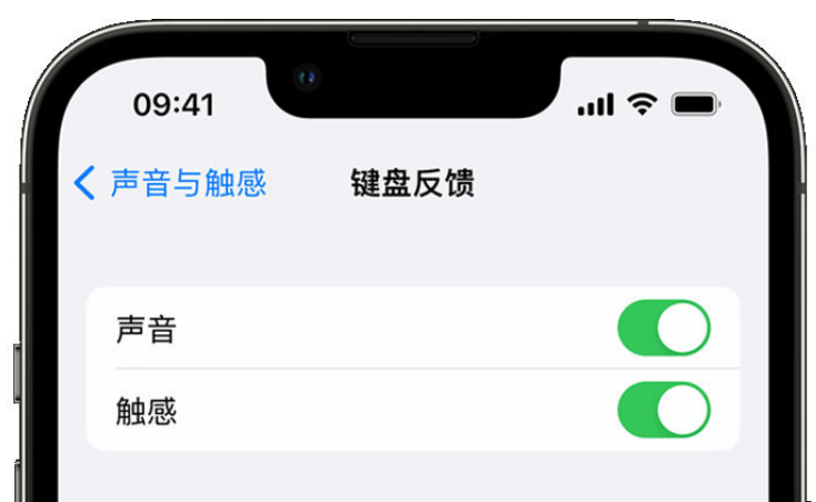 松北苹果手机维修分享iPhone 14触感键盘使用方法 