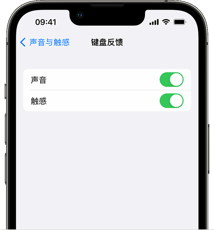 松北苹果14维修店分享如何在 iPhone 14 机型中使用触感键盘 