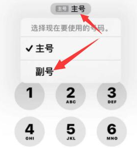 松北苹果14维修店分享iPhone 14 Pro Max使用副卡打电话的方法 