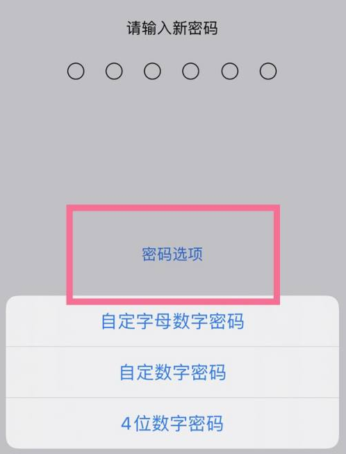 松北苹果14维修分享iPhone 14plus设置密码的方法 