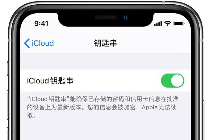 松北苹果手机维修分享在 iPhone 上开启 iCloud 钥匙串之后会储存哪些信息 