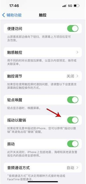 松北苹果手机维修分享iPhone手机如何设置摇一摇删除文字 