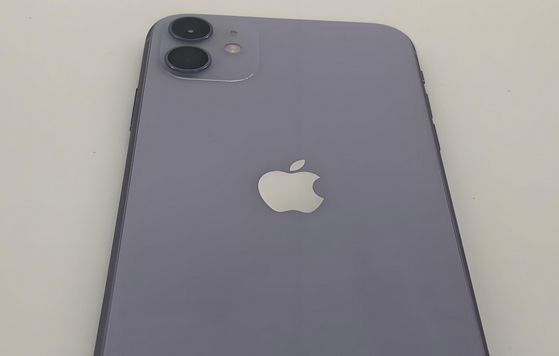 松北苹果11系统维修分享iPhone11手机系统崩溃无法开机如何解决 